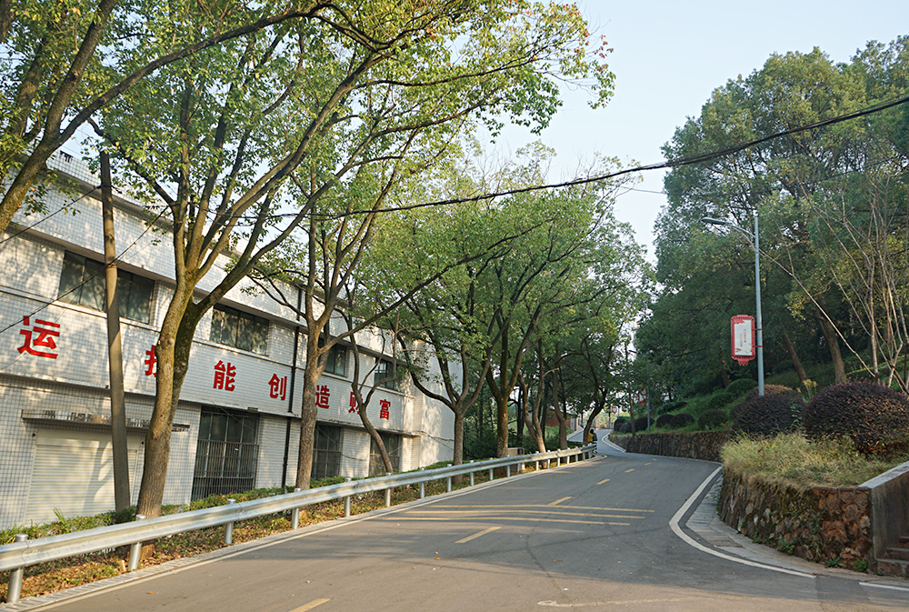 林蔭小道